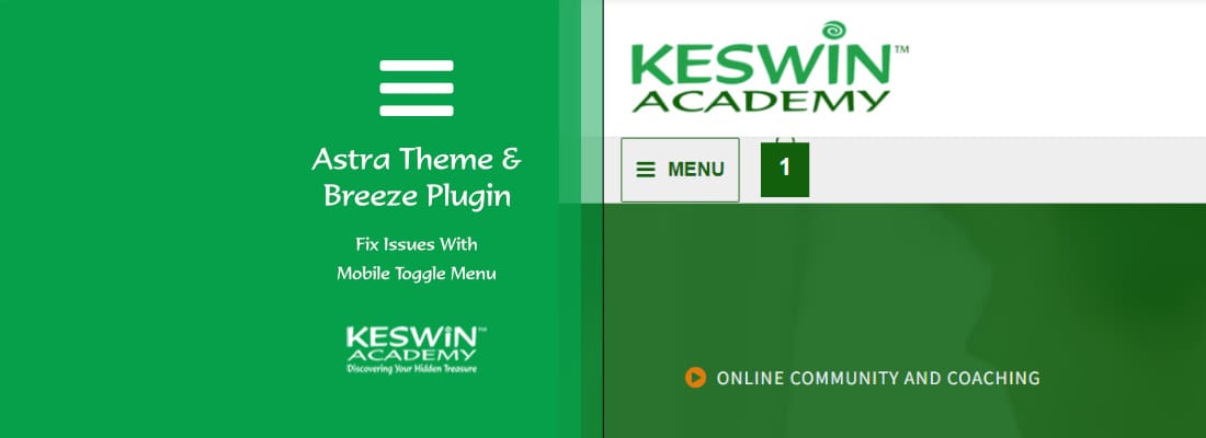 Mobile toggle menu astra